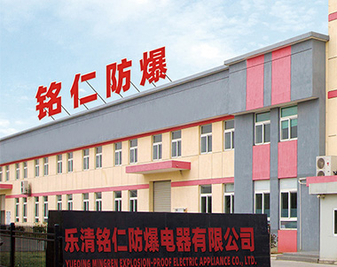 公司介绍